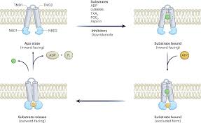 Image result for görög abc