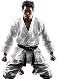 Image result for Beverley Haltemprice Judo Club