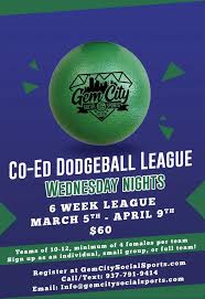 Image result for The Dodgeball Company
