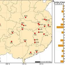 Attēlu rezultāti vaicājumam “Lycogala convexum sessile”