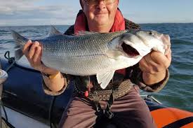 Image result for Fylde Boat Angling Club