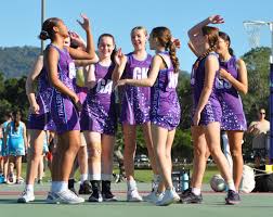 Image result for Newdigate Netball Club
