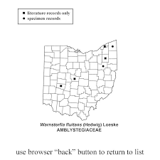Attēlu rezultāti vaicājumam “Warnstorfia fluitans”