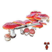 Attēlu rezultāti vaicājumam “Amanita muscaria”