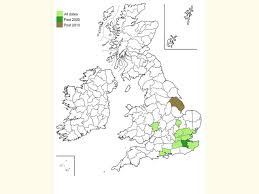 Attēlu rezultāti vaicājumam “Proutia betulina larva”