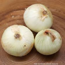 Image result for Zwiebeln