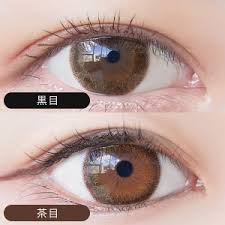 「ネオサイトワンデーシエル」の画像検索結果