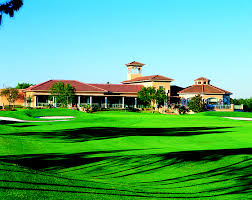 Image result for Falcon Sa Club