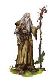 Image result for druid