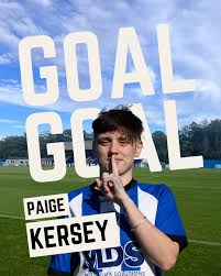 Image result for Haywards Heath Town Ladies Football Club