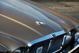 Image result for Antelope 1984 Jaguar