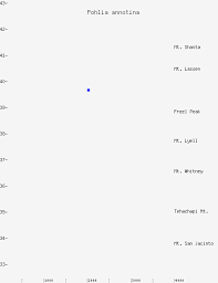 Attēlu rezultāti vaicājumam “Pohlia annotina”