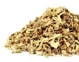 Attēlu rezultāti vaicājumam “Angelica archangelica fruit”