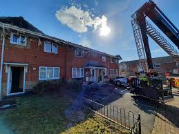 Image result for Swindon Flames