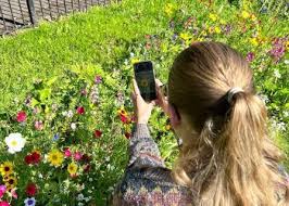 Image result for Frome Selwood Bowls Club