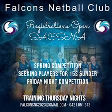 Image result for Normanton Falcons Netball Club
