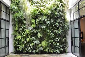Image result for living wall