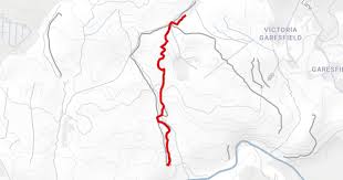 Image result for Newcastle Track Cycling Association