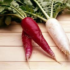 Image result for Rettich