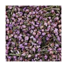 Attēlu rezultāti vaicājumam “Calluna vulgaris bud”