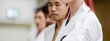 Image result for Ipswich Shotokan Karate Club