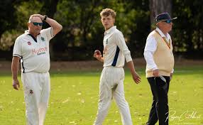 Image result for Halstead Cricket Club