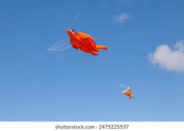 Image result for Kite Club of Scotland