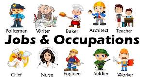 Image result for occupations