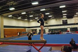 Image result for Gym Stars