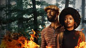 Image result for alice