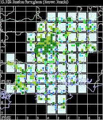 Attēlu rezultāti vaicājumam “Rusina ferruginea male”