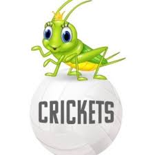 Image result for Crickets Netball Club