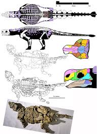 Image result for MINMI