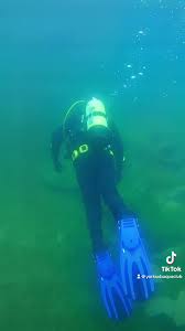 Image result for York University Sub Aqua Club