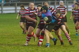 Image result for Stanford Rugby Club