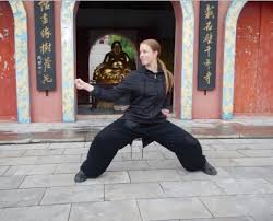 Image result for kung fu