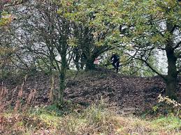 Image result for Walton Chasers Orienteering Club