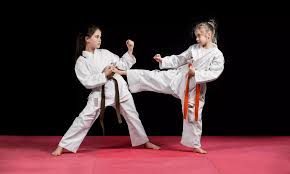 Image result for Martial Arts New Jersey