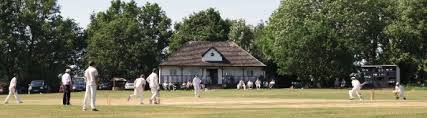 Image result for Bolney Cricket Club