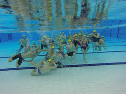 Image result for Swindon Dolphins Swimming Club