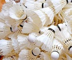 Image result for Top Flight Badminton Club