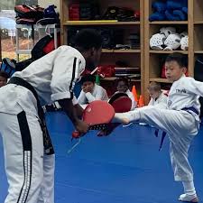 Image result for Suwanee Martial Arts Center