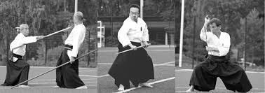 Image result for Kyoku Kenjutsu Kai