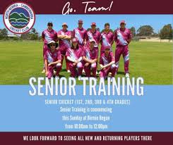 Image result for Dinas Powys Cricket Club