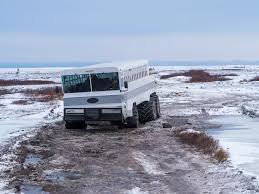 Image result for tundra buggy
