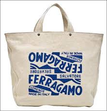 Image result for 2011早春