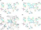 Antimalarial drug discovery: development of inhibitors of ...