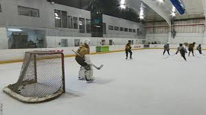 Image result for Bracknell Ice Skating Club