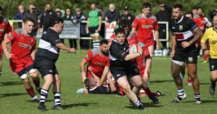 Image result for Pembroke Dock Harlequins RFC