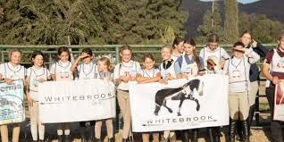 Image result for Bookham Riding Club